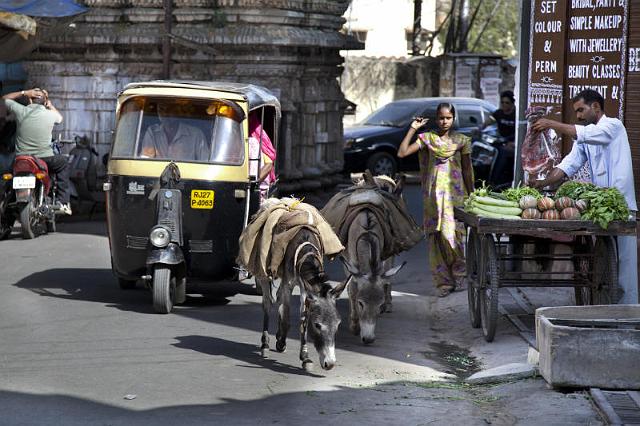 232 Udaipur.jpg